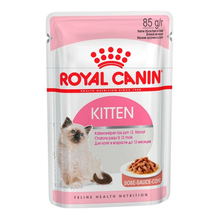 Royal Canin B.G. Gato Kitten (salsa) 12 x 85 gr