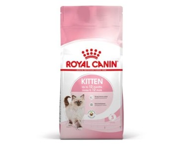 Royal Canin B.G. Gato Kitten 4 kg