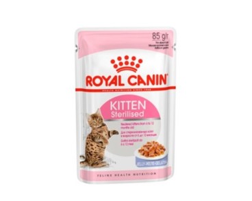 Royal Canin B.G. Gato Kitten Sterilised (gelatina) 12 x 85 gr