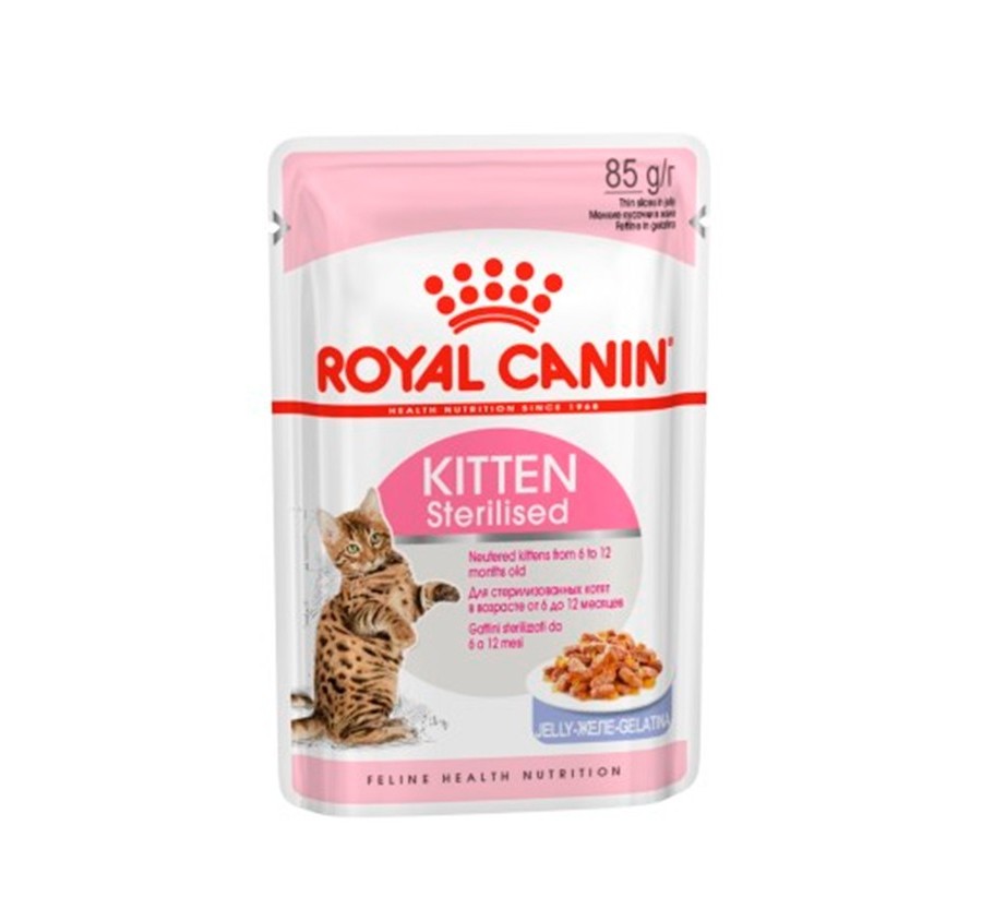 Royal Canin B.G. Gato Kitten Sterilised (gelatina) 12 x 85 gr