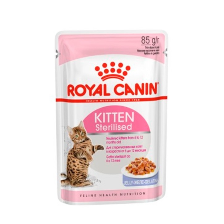 Royal Canin B.G. Gato Kitten Sterilised (gelatina) 12 x 85 gr