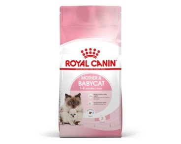 Royal Canin B.G. Gato Mother & Babycat 10 kg