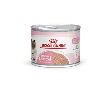 Royal Canin B.G. Gato Mother & Babycat 12 x 195 gr