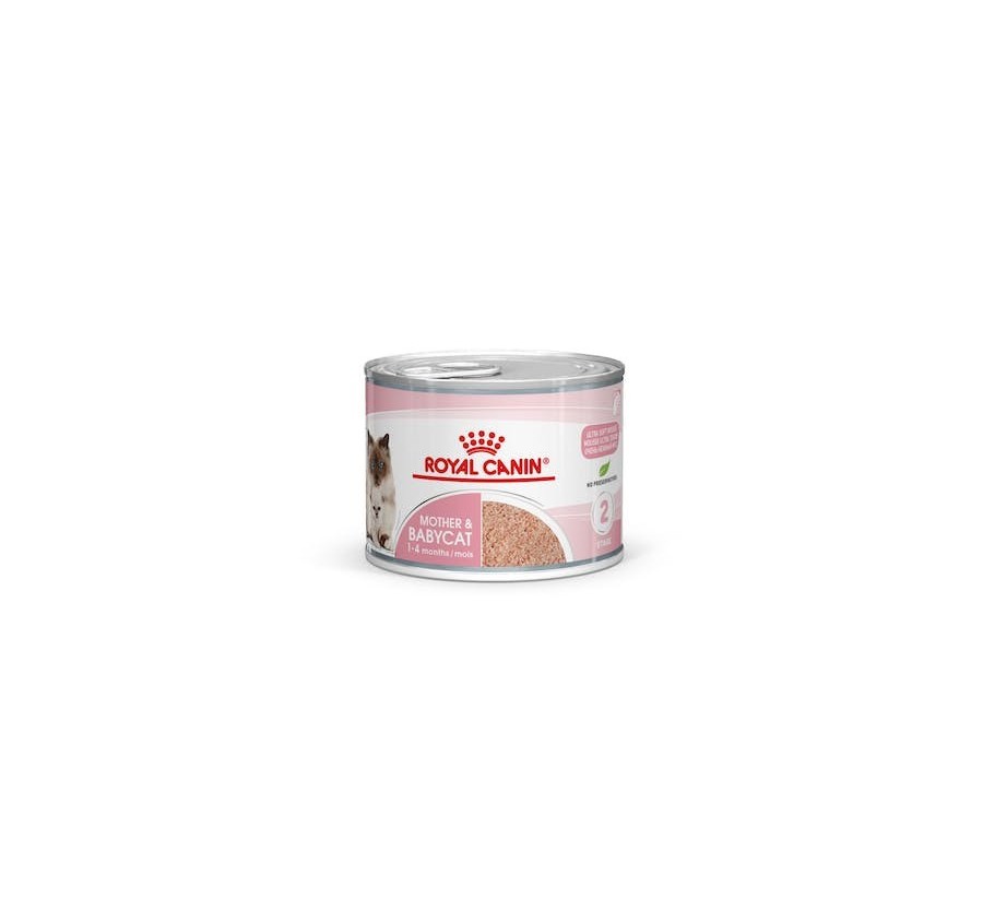 Royal Canin B.G. Gato Mother & Babycat 12 x 195 gr