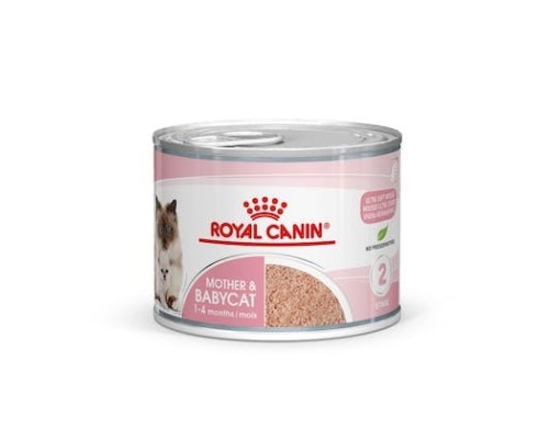 Royal Canin B.G. Gato Mother & Babycat 12 x 195 gr