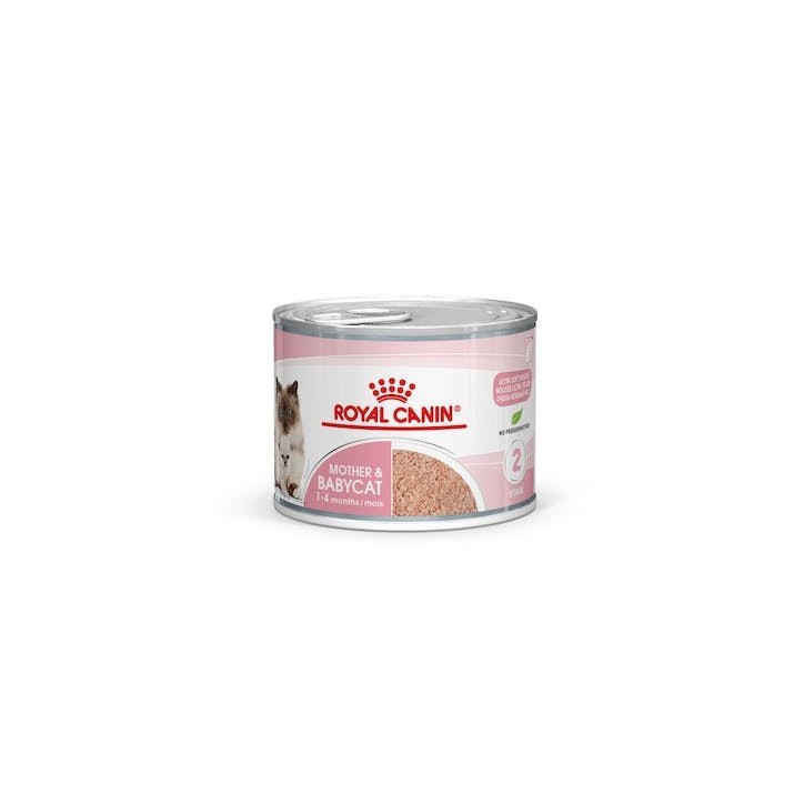 Royal Canin B.G. Gato Mother & Babycat 12 x 195 gr