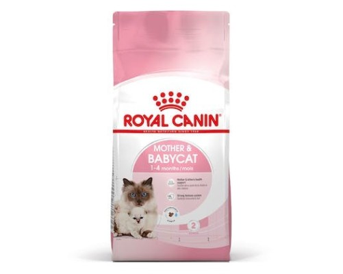 Royal Canin B.G. Gato Mother & Babycat 4 kg