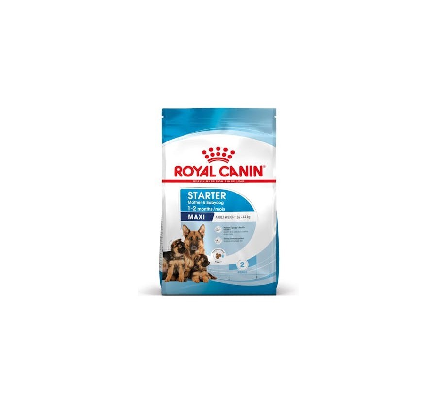 Royal Canin B.G. Perro Maxi Starter 4 kg