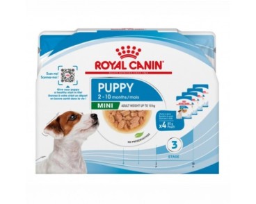 Royal Canin B.G. Perro Multipack Mini Puppy 4 x 85 gr