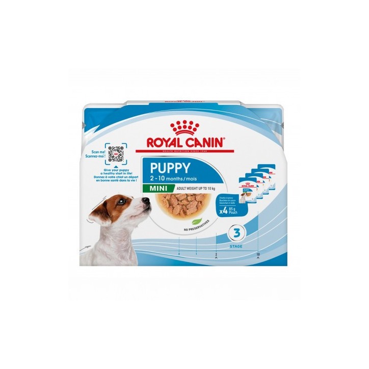 Royal Canin B.G. Perro Multipack Mini Puppy 4 x 85 gr