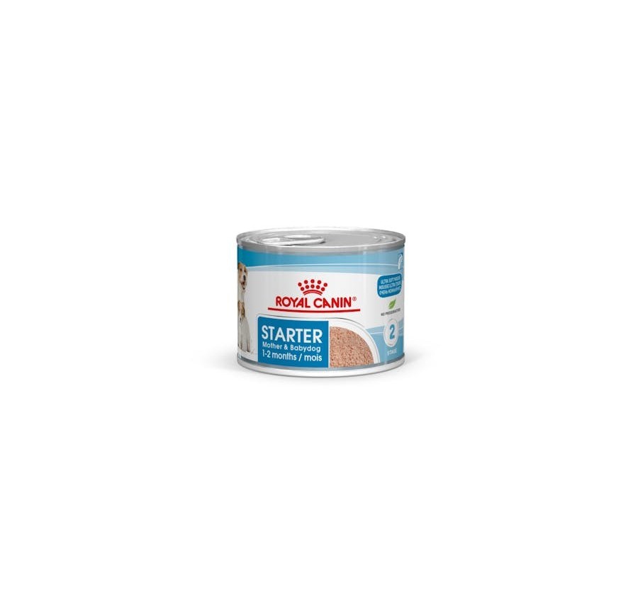Royal Canin B.G. Perro Starter Mousse 12 x 195 gr