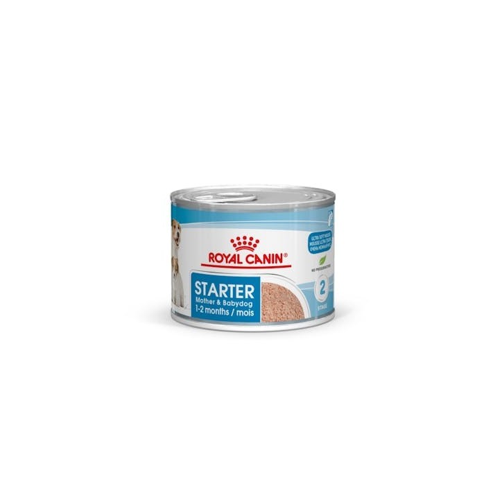 Royal Canin B.G. Perro Starter Mousse 12 x 195 gr