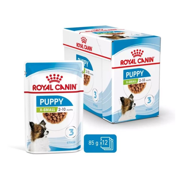 Royal Canin B.G. Perro XSmall Puppy 12 x 85 gr