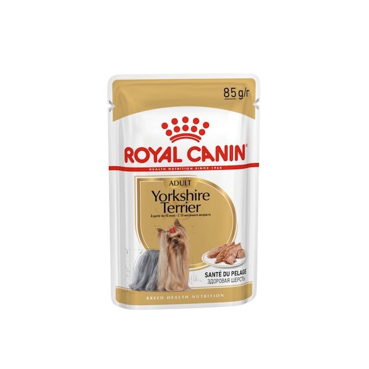 Royal Canin B.H.N. Perro Yorkshire Adult 12 x 85 gr
