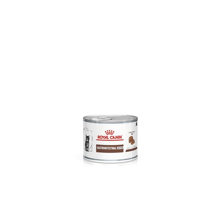 Royal Canin V.H.G. Gato Gastro Intestinal Kitten (mousse) 12 x 195 gr