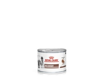 Royal Canin V.H.G. Perro Recovery (mousse) 12 x 195 gr