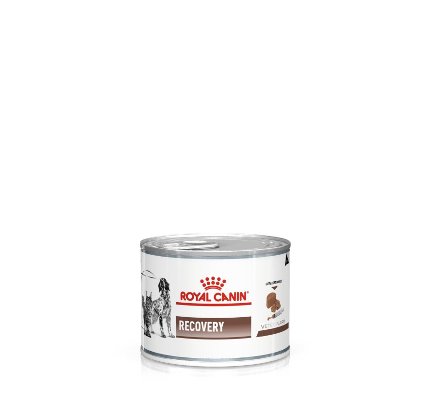 Royal Canin V.H.G. Perro Recovery (mousse) 12 x 195 gr