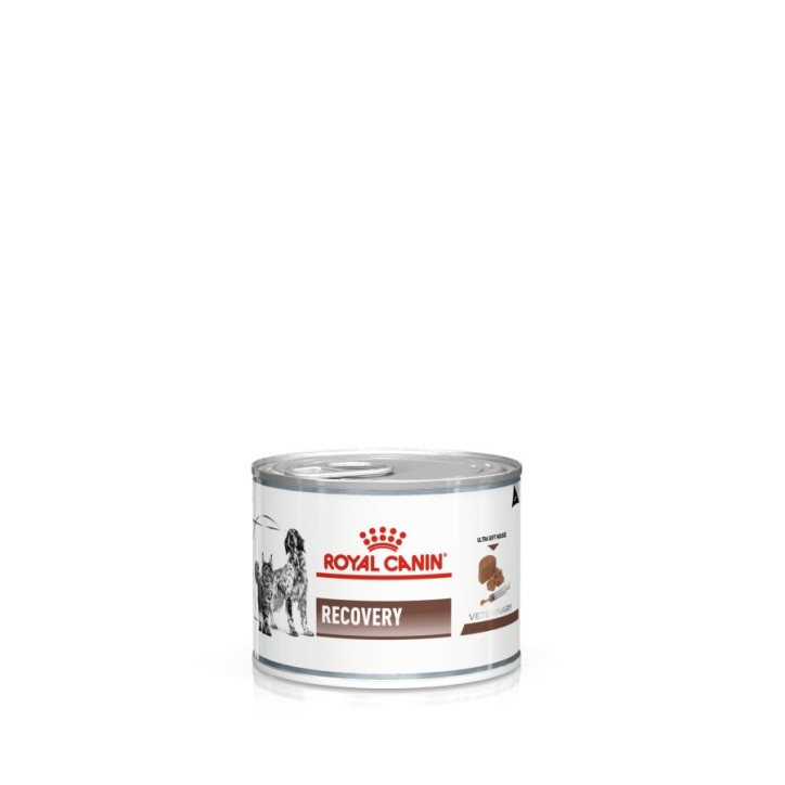 Royal Canin V.H.G. Perro Recovery (mousse) 12 x 195 gr