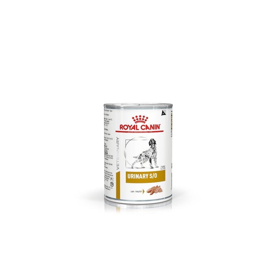 Royal Canin V.H.N. Perro Urinary S/O (paté) 12 x 410 gr