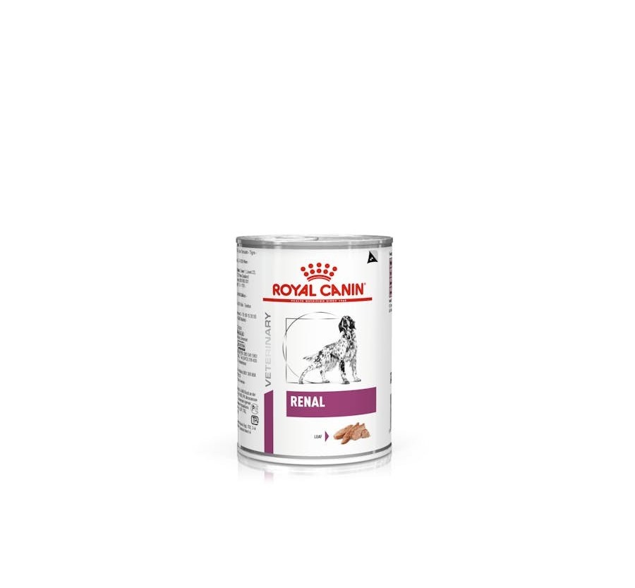 Royal Canin V.H.V. Perro Renal (paté) 12 x 410 gr