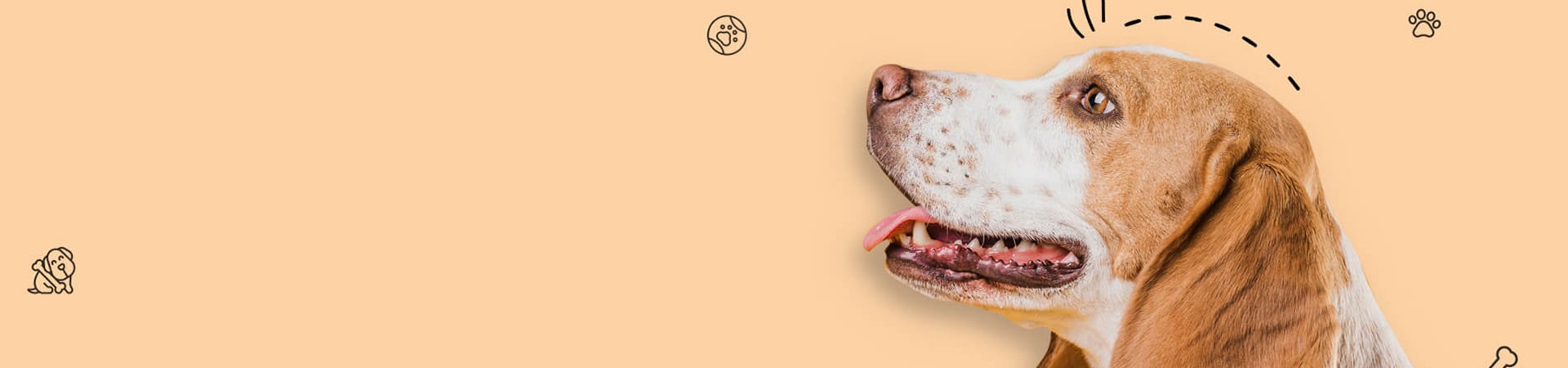 Main Slider